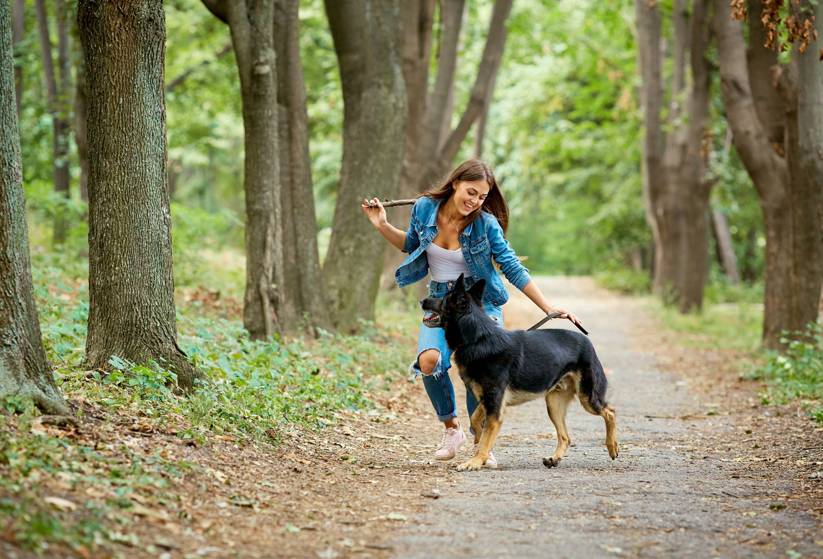 Comment laisser un chien seul